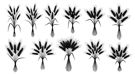 Illustrations of various wheat stalks and bundles in a stylized graphic design.