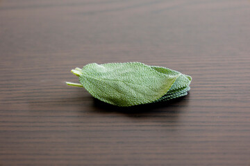 fresh sage leaves on dark background close up