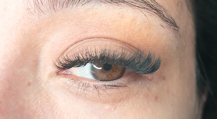Close up of eye with eyelash extensions ,beauty salon treatment ,2d volume, 3d volume, classical lashes,Russian volume,megavolume, new set