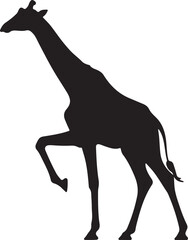 Giraffe silhouette, standing giraffe silhouette on white background