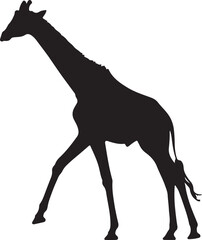 Giraffe silhouette, standing giraffe silhouette on white background