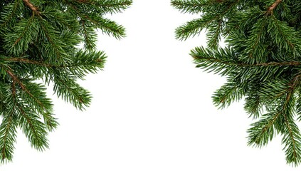 Obraz premium Lush evergreen branches frame a white background, creating a symmetrical, holiday-themed border