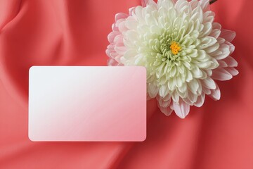 Blank card rests on coral fabric beside a pale pink and white chrysanthemum