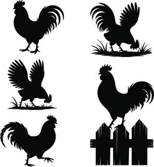 Rooster silhouette vector illustration, farm bird poses, countryside animal scene, black flat design, cad drawing flat vector illustration