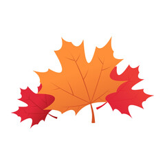 Illustration of three maple leaves in autumn shades, one large orange in the center and two red on the sides.