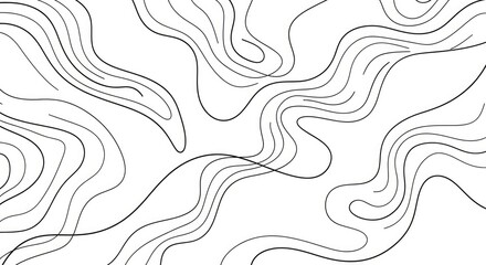 Abstract black and white topographic lines creating a fluid, minimalist pattern background.