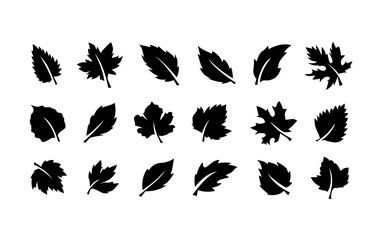 Set of black leaf icons in various shapes, simple silhouette design for nature and seasonal themes.
