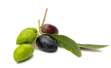 A branch with olives isolated