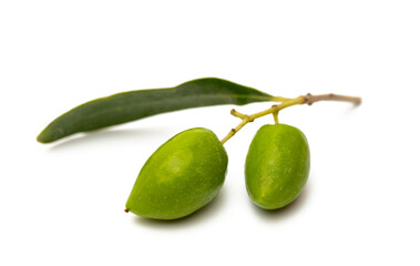 A branch with olives isolated