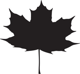 silhouette maple leaf icon
