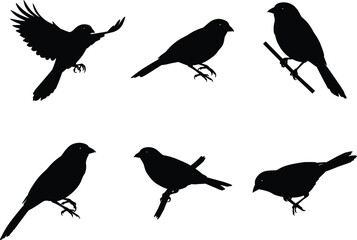 Silhouette vector illustration of black birds perched, flying, and sitting on branches, crow and sparrow shapes collection for nature design projects.