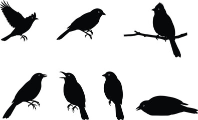 Silhouette vector illustration of black birds perched, flying, sitting, and resting on branches, crow and songbird shapes collection for design projects.