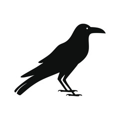 Black Silhouette of a Crow on White Background bird