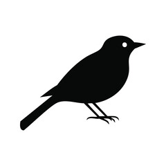 Black silhouette of a small bird on white background