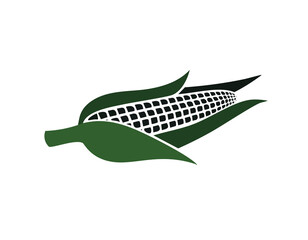 Green and Black Silhouette of Corn on the Cob Keywords: corn, corn on the cob, maize, grain
