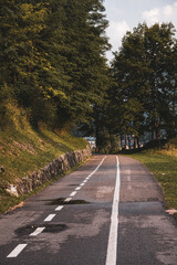 Scenic cycling path winding through the mountains of Trentino, Italy. Outdoor sports, nature and alpine landscape in summer.