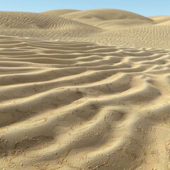Fototapeta premium Seamless sand ripples texture