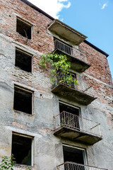 A building with a balcony and a plant growing out of it