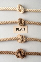 Different Types of Knots Tied on Ropes with a Planning Concept