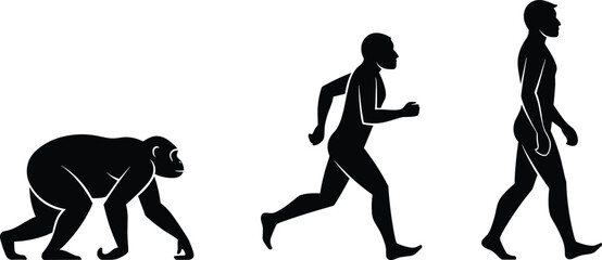 Human evolution silhouette, ape to man, walking progression, black figures, bipedal motion, vector illustration, posture change, white background, science concept