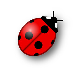 Bright red ladybug with black spots on a white background