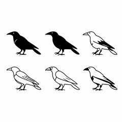Fototapeta premium Illustration of six ravens in black and white vector art