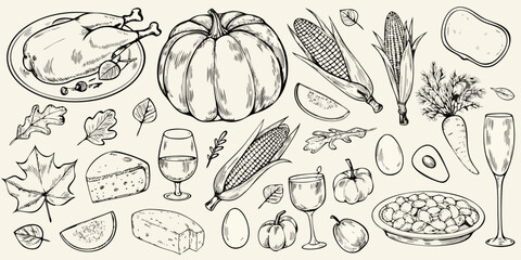 Hand drawn thanksgiving harvest food and drink elements collection with turkey pumpkin corn and wine