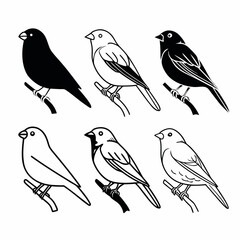 Fototapeta premium Six charming finches perch gracefully, , showcasing their unique silhouettes and delicate features