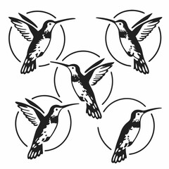 Obraz premium Collection of five hummingbird illustrations, each meticulously crafted in a striking black and white color scheme