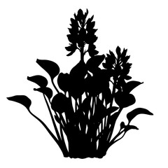 Silhouette of aquatic plant with blossoms ideal for nature designs and botanical artworks silhouette flat design vector illustration white background