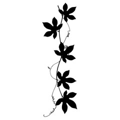 Elegant silhouette of a passion flower vine with five star-shaped leaves silhouette flat design vector illustration white background