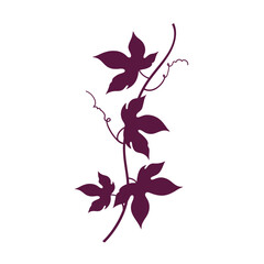 Decorative purple climbing plant with five star-shaped leaves elegant nature design element silhouette flat design vector illustration white background