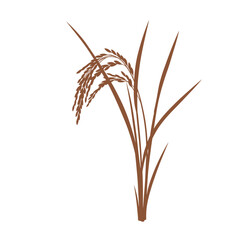 Close-up view of a single red rice plant stalk with grain ready for harvest silhouette flat design vector illustration white background