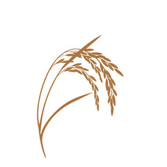 Golden rice stalk harvested grain agriculture food staple healthy organic natural wheat field silhouette flat design vector illustration white background