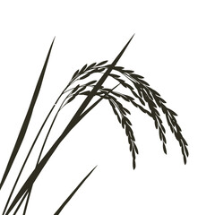 Detailed black silhouette of a rice plant stalk showing grains against white silhouette flat design vector illustration white background