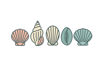 Collection of various seashells displayed in different shapes and colors on a white background