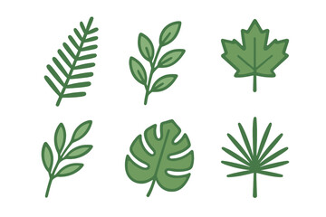 Collection of green leaves including fern, maple, and monstera in a simple, modern style