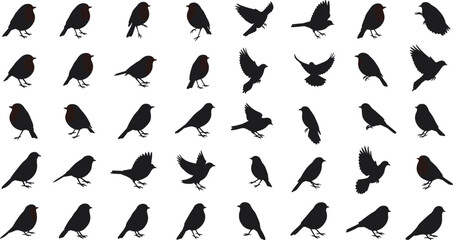 Bird silhouettes and colorful robins in various flight and perched positions, nature, wildlife, freedom, spring, flying birds, animal shapes Art & Illustration