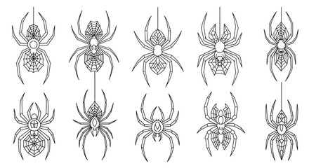 Intricate spider illustrations in a row, perfect for Halloween-themed designs and spooky projects, ideal for digital use and craft projects