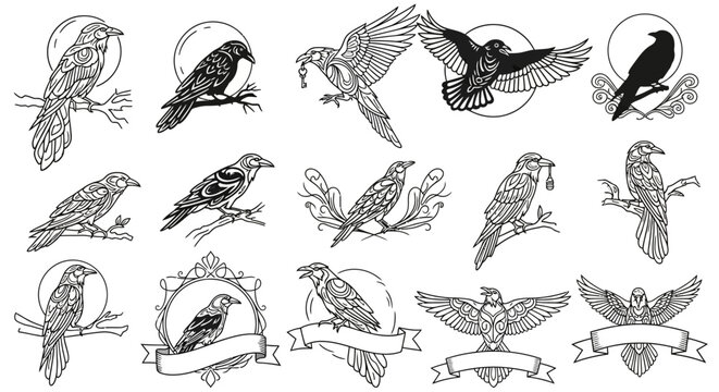 Collection of black and white raven and crow illustrations in line art, featuring bird poses and decorative elements for vintage or gothic designs