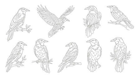 Illustrative depiction of various birds, showcasing their forms and poses, including perched birds and birds in flight, perfect for design use