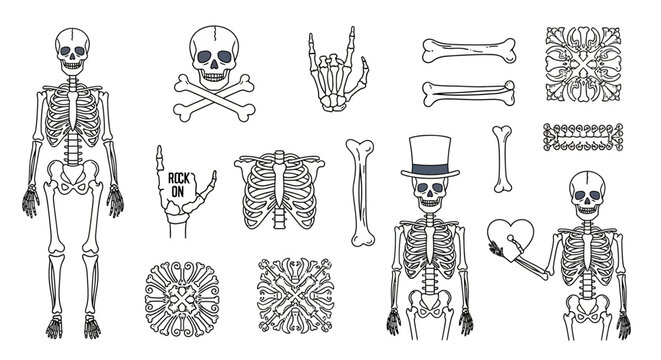 Set of vector skeletons and related elements for Halloween celebrations and designs