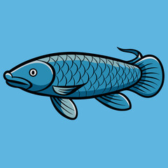 fish on a white background