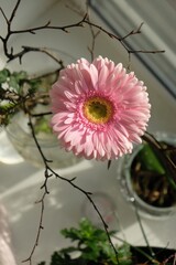 bouquet with a pink flower in a vase