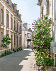Fototapeta premium Charming Street Alley With Stone Facades And Pink Flowering Bush In Bloom Under Sunlight, in the little town of Pont-Croix in Brittany, France
