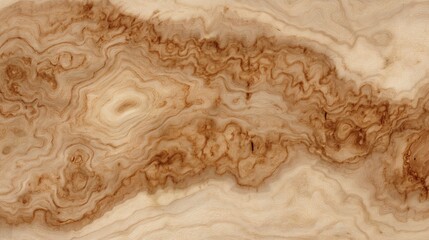 Free natural burl wood grain texture