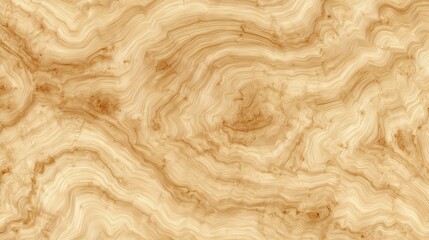 Free natural burl wood grain texture