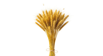 Wheat bundle isolated on transparent background