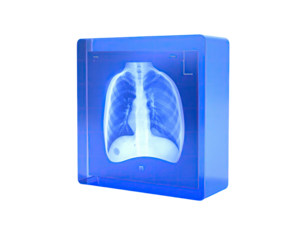 3D rendering of a transparent blue box with a chest x-ray image inside