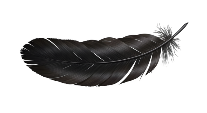 Black, textured feather shines, emphasizing form for branding, product display, and editorial use.